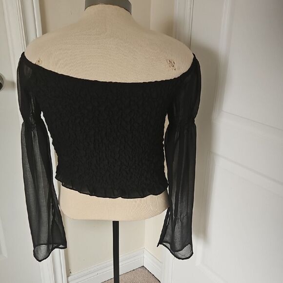 Elegant Black Smocked Sheer Long Sleeve Blouse - Picture 5 of 16